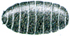 Pupa from house fly