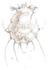 Itch mite