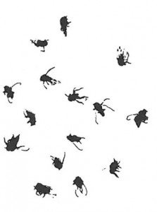 Blackflies - Bedbugs, Bites, Stings and Itches - Page 64