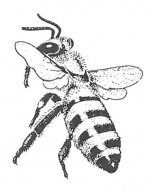 Honey bee landing