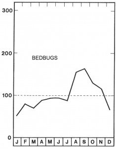 Season for bed bugs
