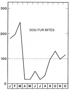 Season for dog fur mites
