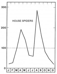 Season for house spiders