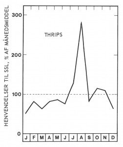 Thrips season in August