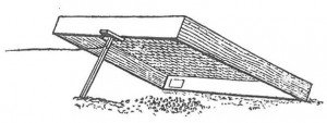 Trapping device for birds